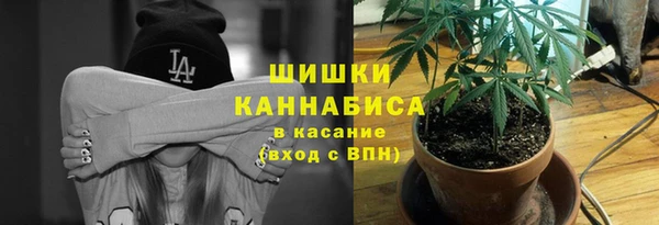 ECSTASY Бронницы