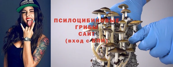 ГАЛЛЮЦИНОГЕННЫЕ ГРИБЫ Сосновый Бор