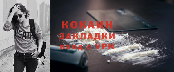 кокс Бородино
