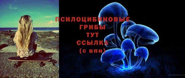 ECSTASY Бронницы
